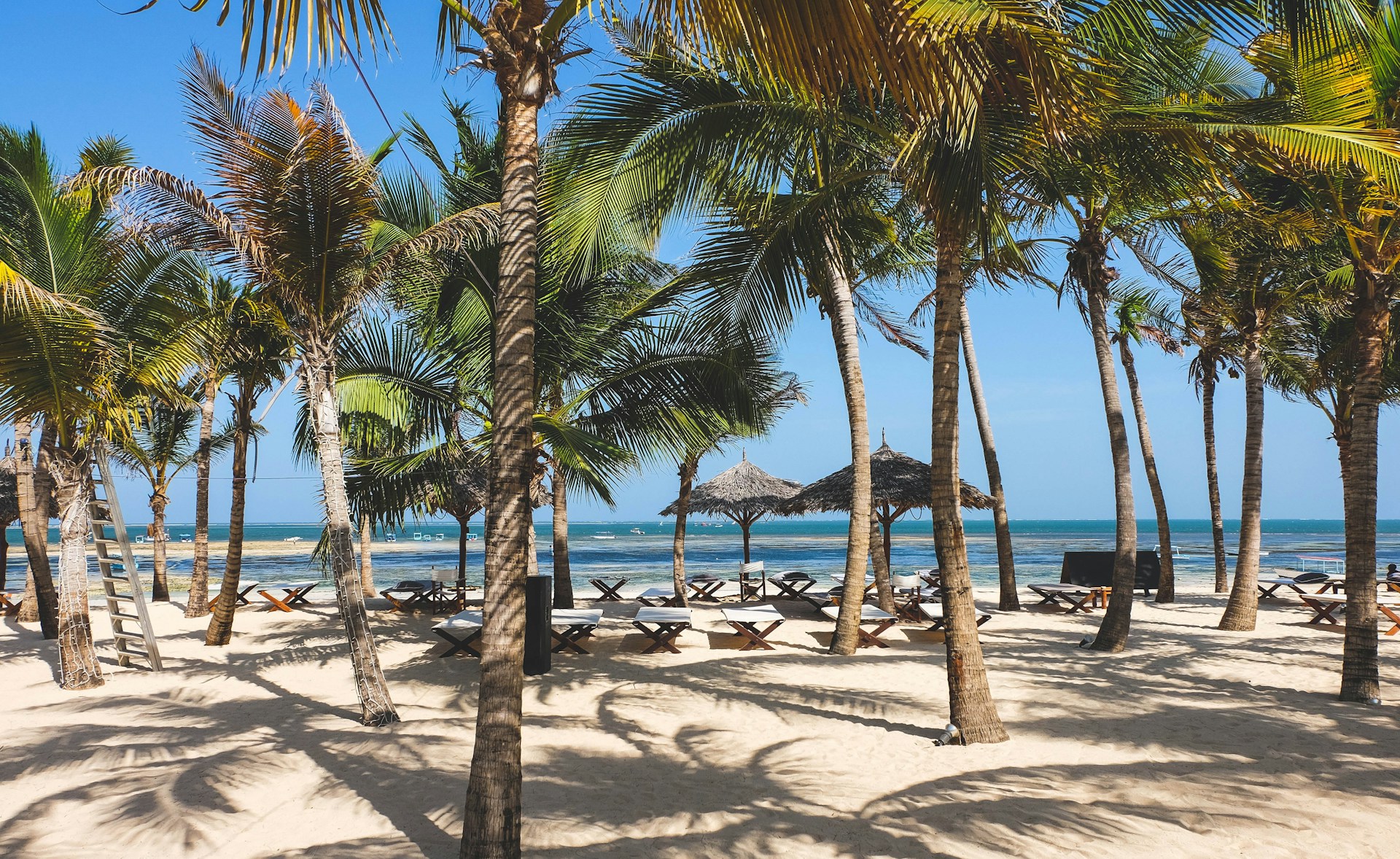 Palm trees above the turquoise ocean on a Diani beach