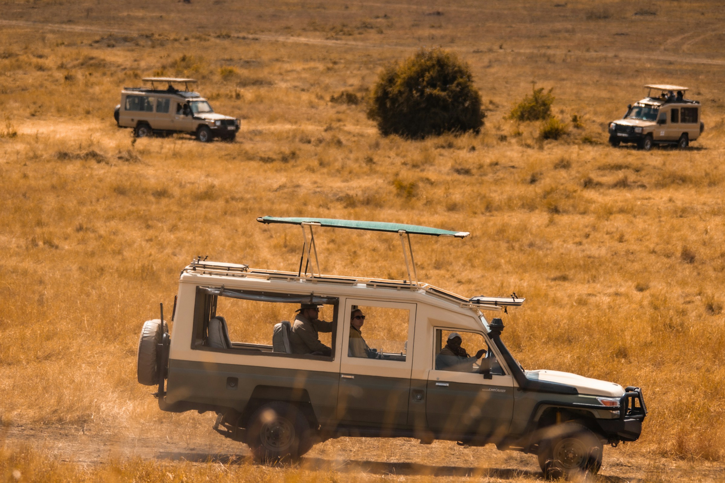 A safari vehicle on open African grassland at sunset
